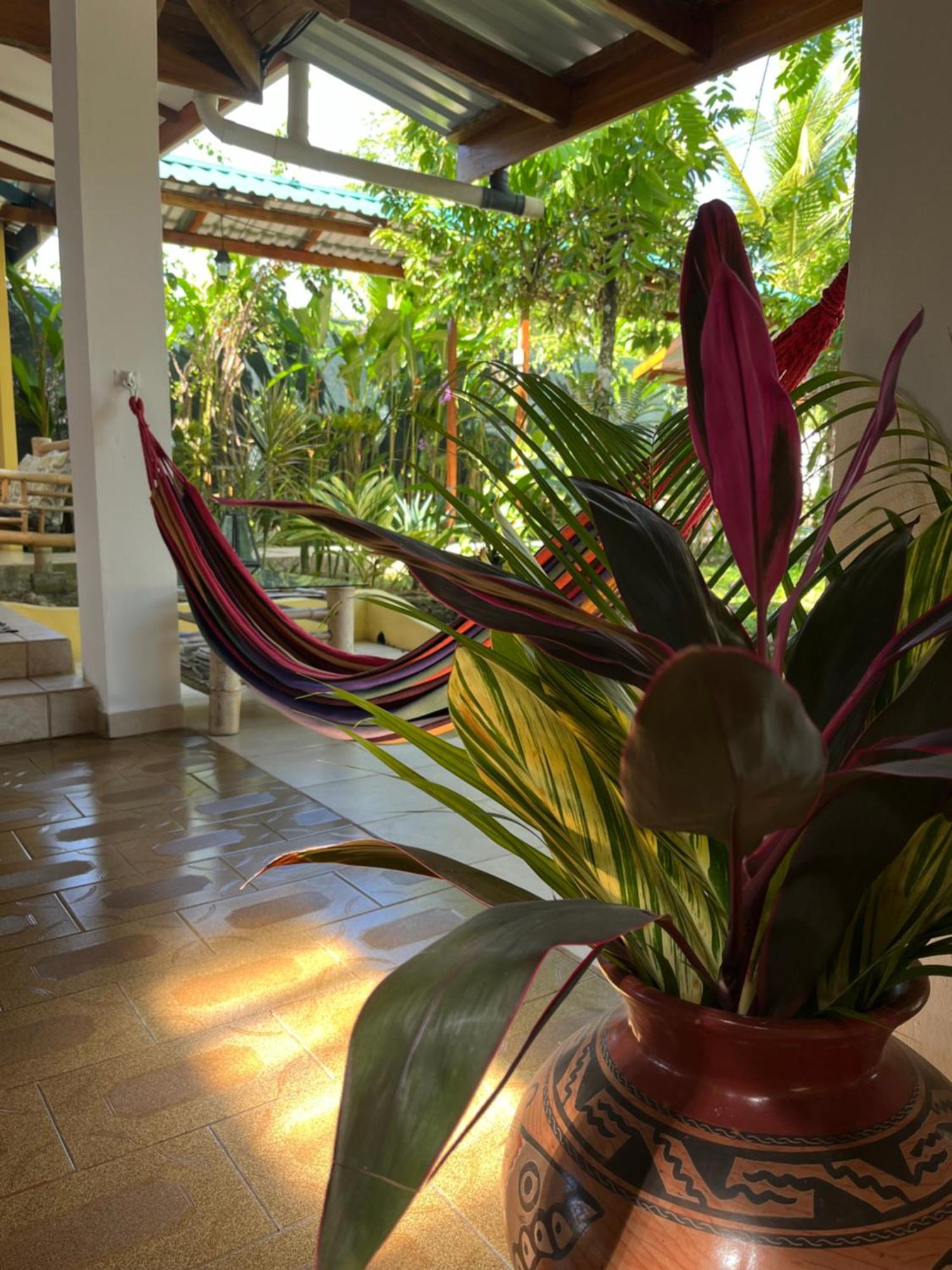Hotel Pura Vida Puerto Viejo de Talamanca Ngoại thất bức ảnh