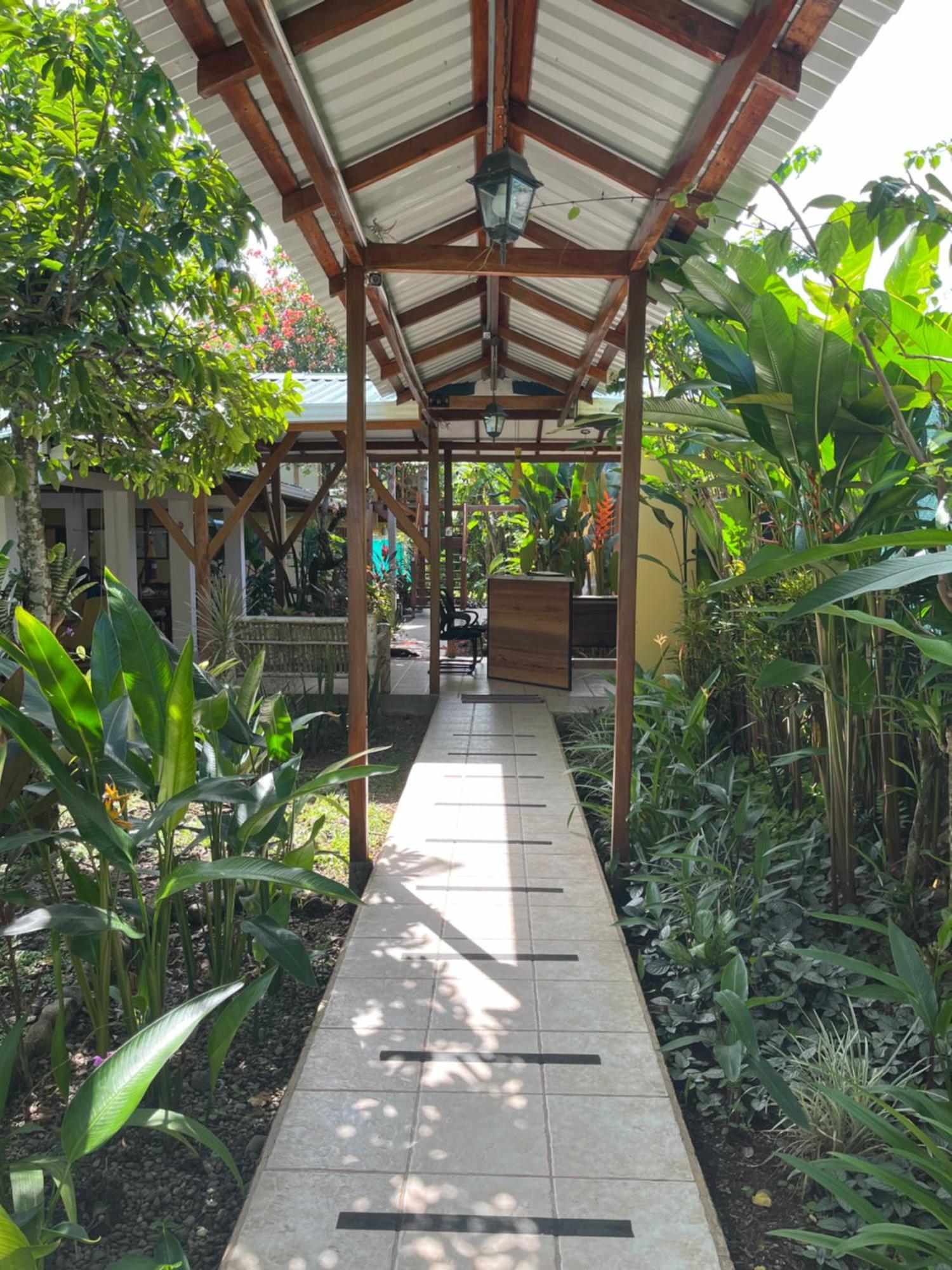 Hotel Pura Vida Puerto Viejo de Talamanca Ngoại thất bức ảnh