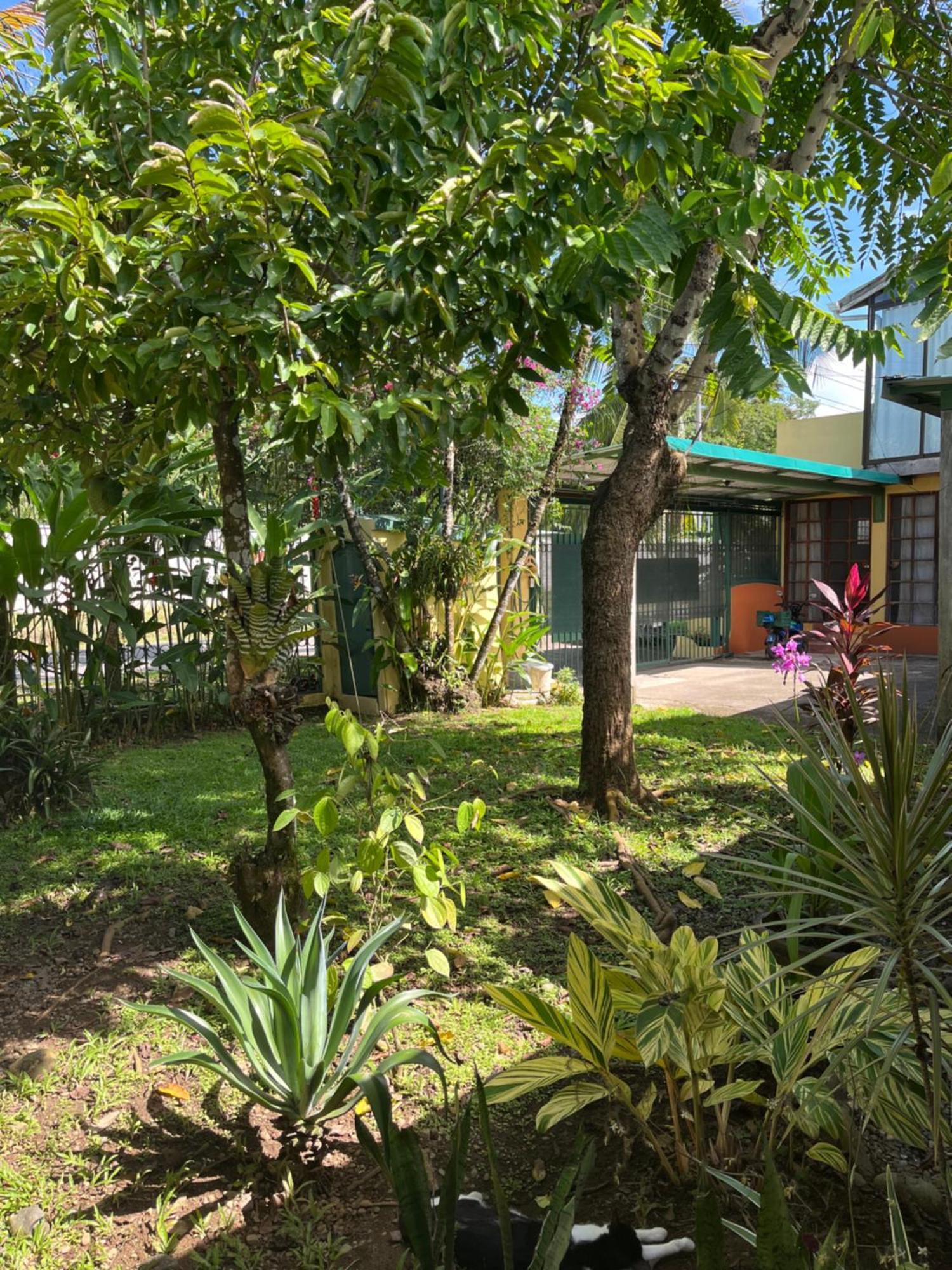 Hotel Pura Vida Puerto Viejo de Talamanca Ngoại thất bức ảnh