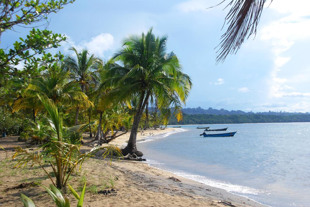 Hotel Pura Vida Puerto Viejo de Talamanca Ngoại thất bức ảnh