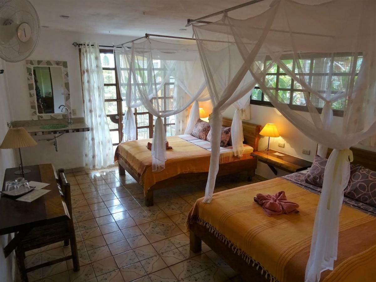 Hotel Pura Vida Puerto Viejo de Talamanca Ngoại thất bức ảnh