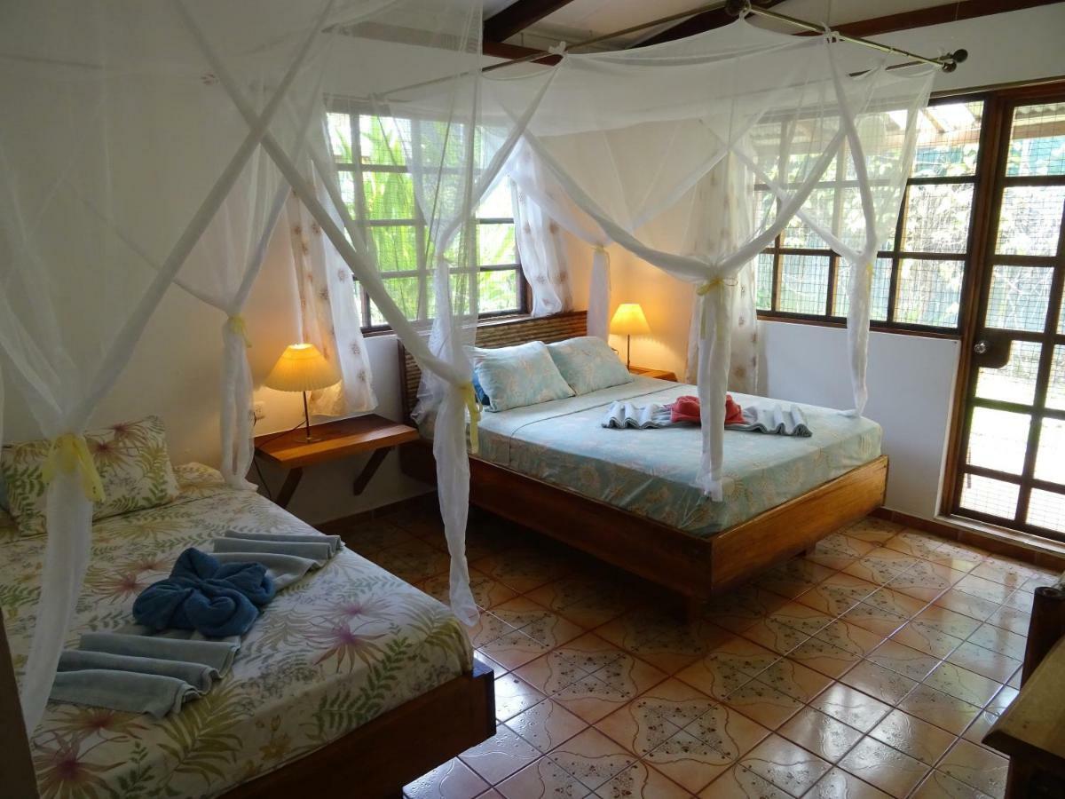 Hotel Pura Vida Puerto Viejo de Talamanca Ngoại thất bức ảnh