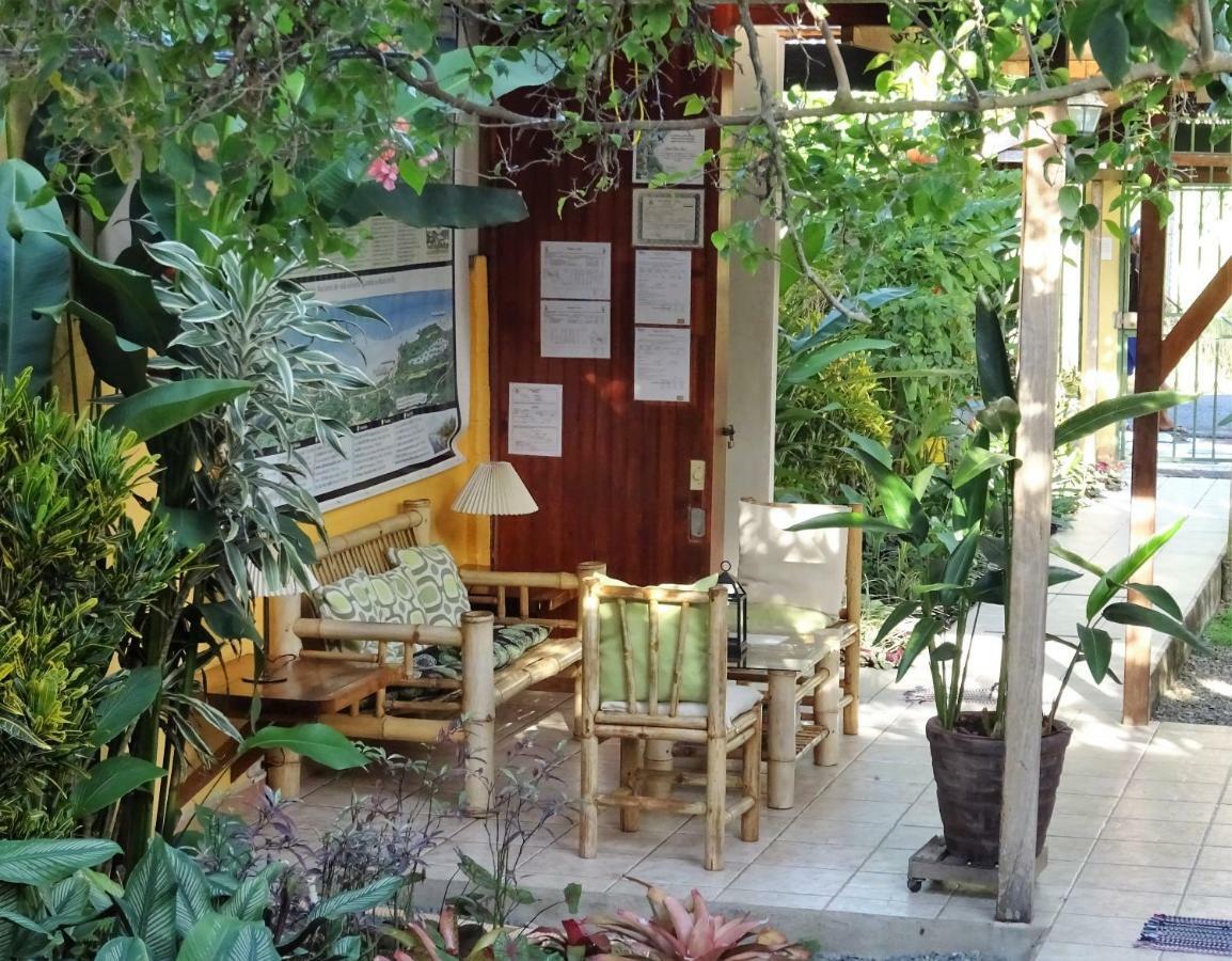 Hotel Pura Vida Puerto Viejo de Talamanca Ngoại thất bức ảnh