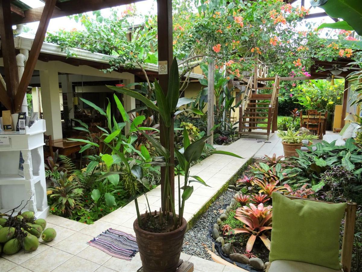 Hotel Pura Vida Puerto Viejo de Talamanca Ngoại thất bức ảnh
