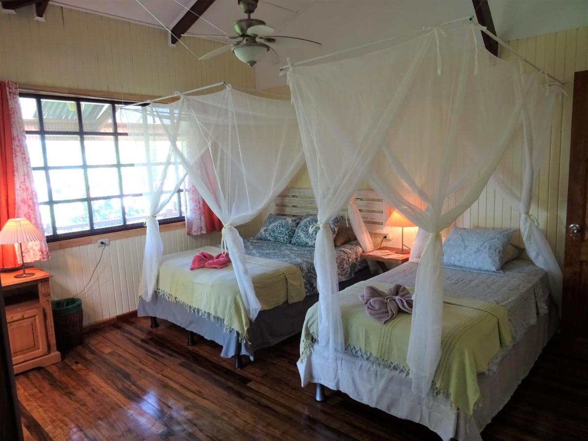 Hotel Pura Vida Puerto Viejo de Talamanca Ngoại thất bức ảnh
